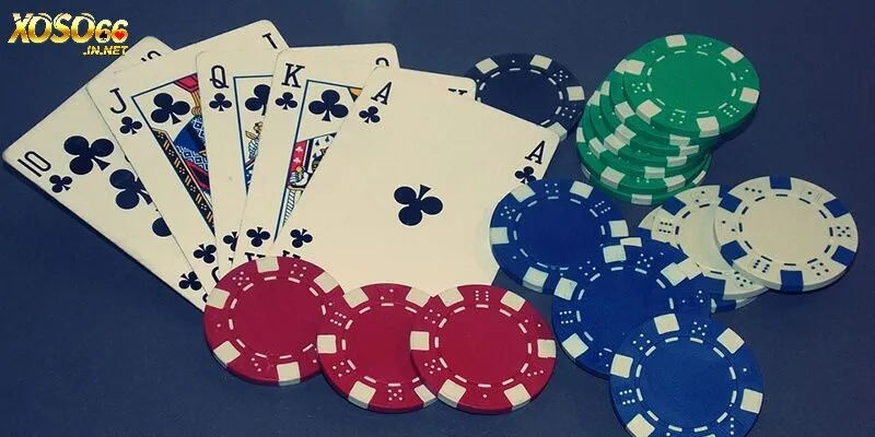 Nắm vững các lựa chọn này là yếu tố quan trọng để bạn làm chủ cách chơi bài xì tố