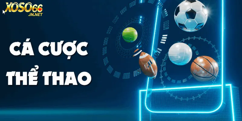 Đặt cược đa dạng môn thể thao hot hit mỗi ngày 