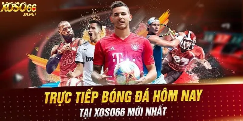 Phát sóng trực tiếp bóng đá siêu sắc nét mỗi ngày 